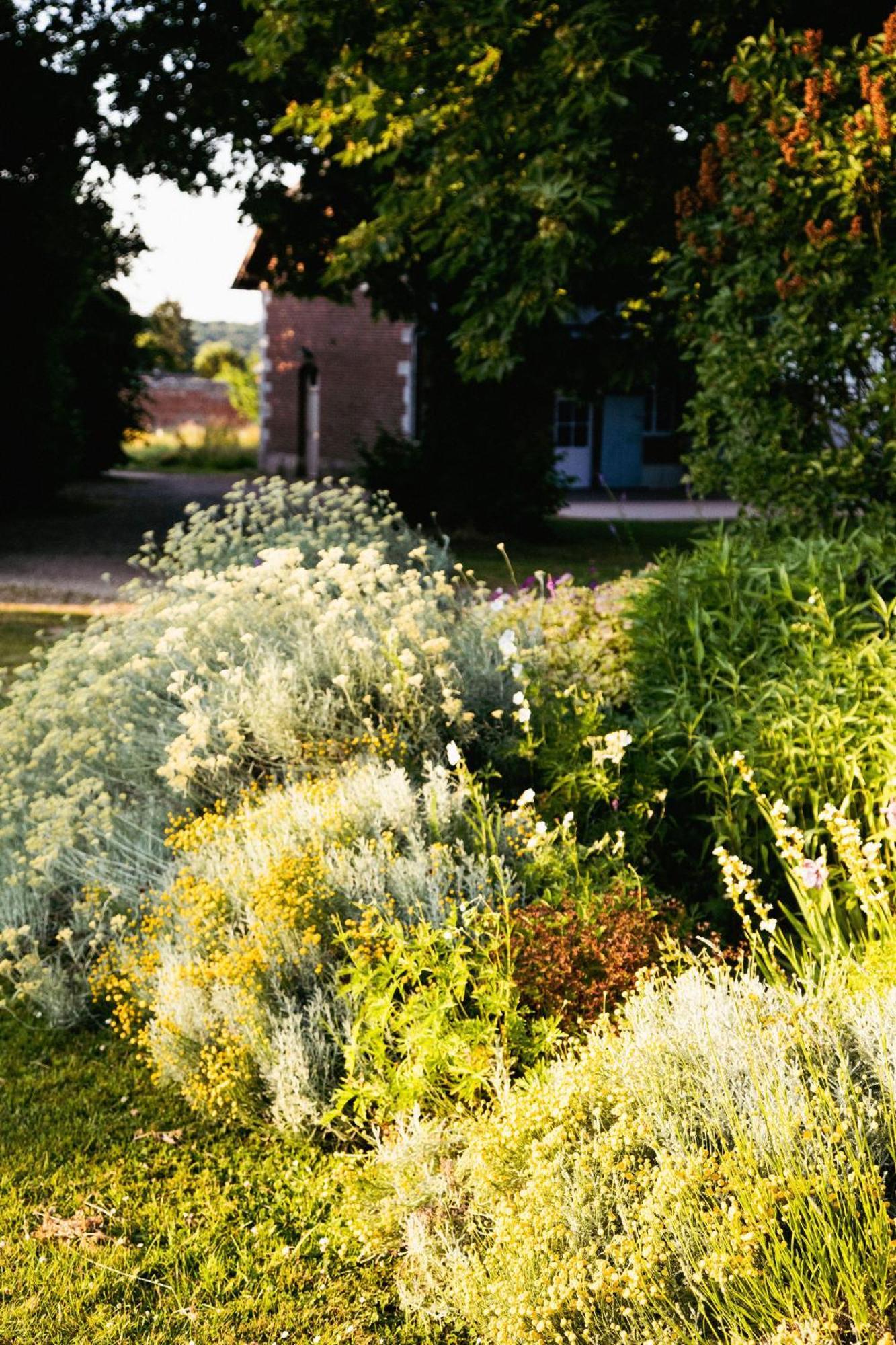 Le Chateau De Bonnemare - Bed And Breakfast Radepont Buitenkant foto