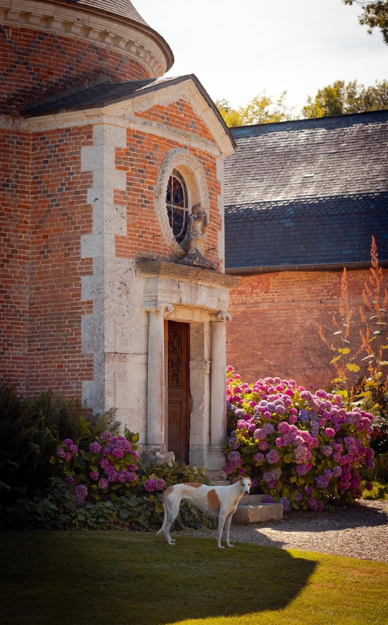 Le Chateau De Bonnemare - Bed And Breakfast Radepont Buitenkant foto