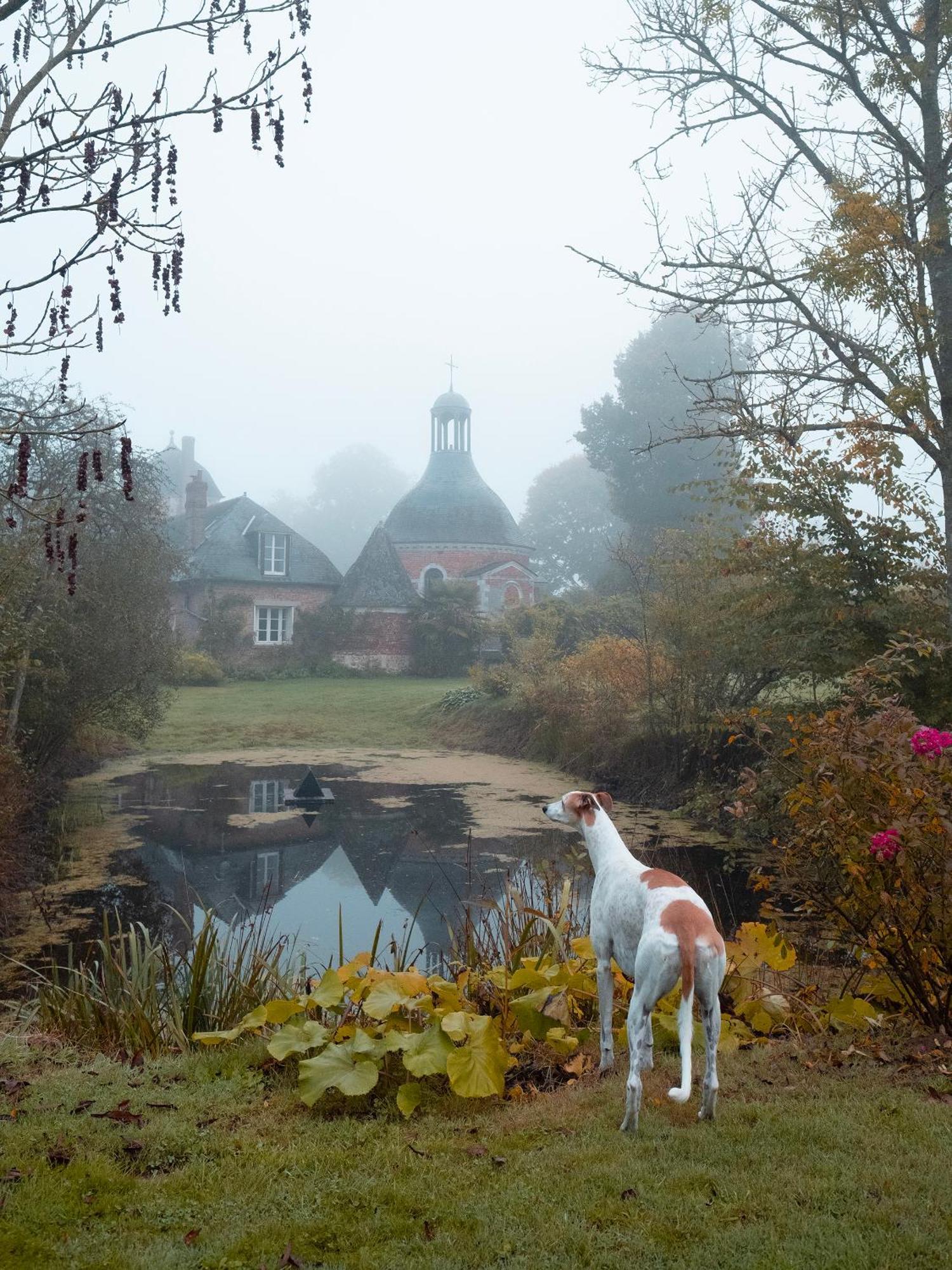 Le Chateau De Bonnemare - Bed And Breakfast Radepont Buitenkant foto