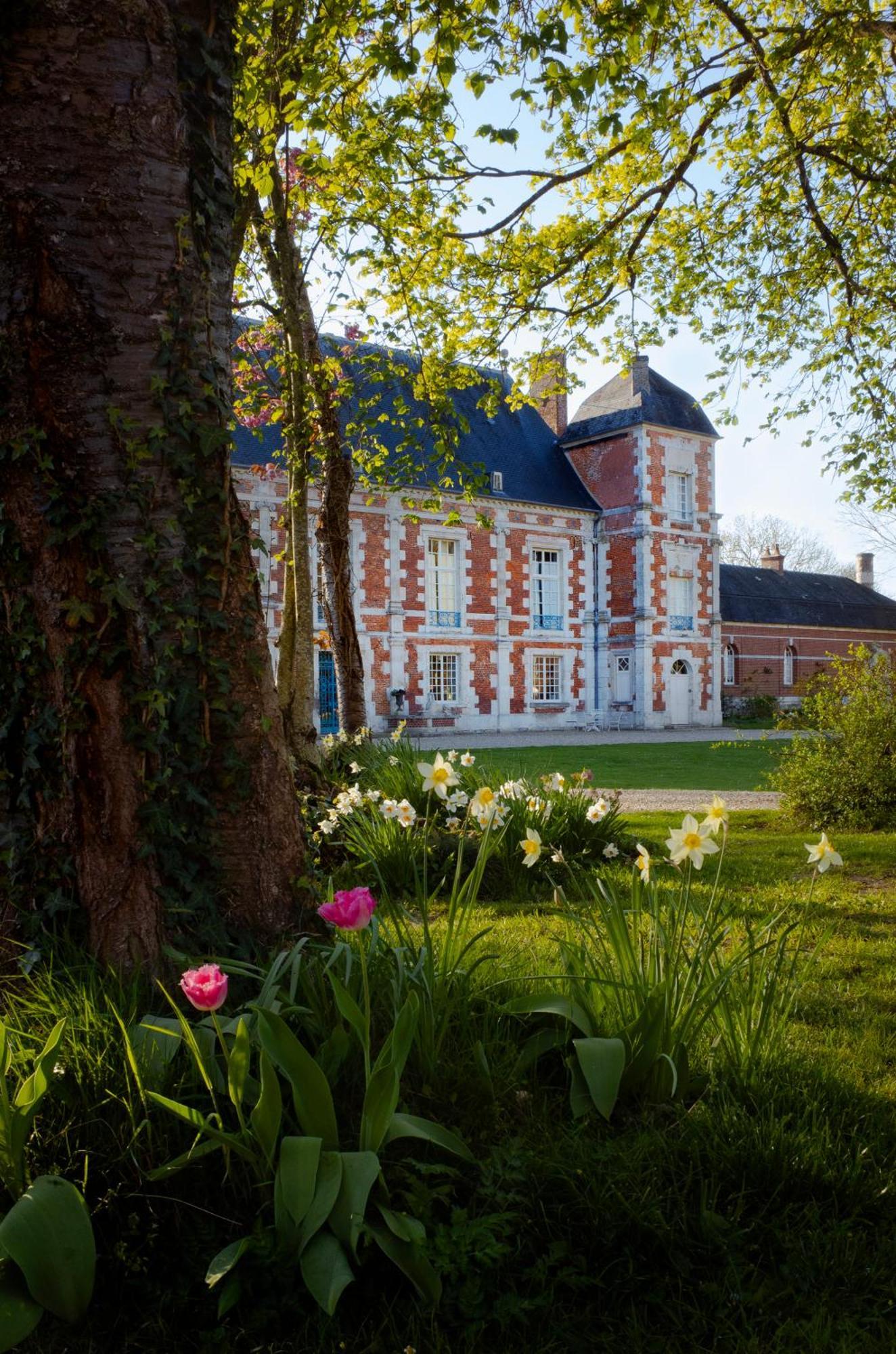 Le Chateau De Bonnemare - Bed And Breakfast Radepont Buitenkant foto